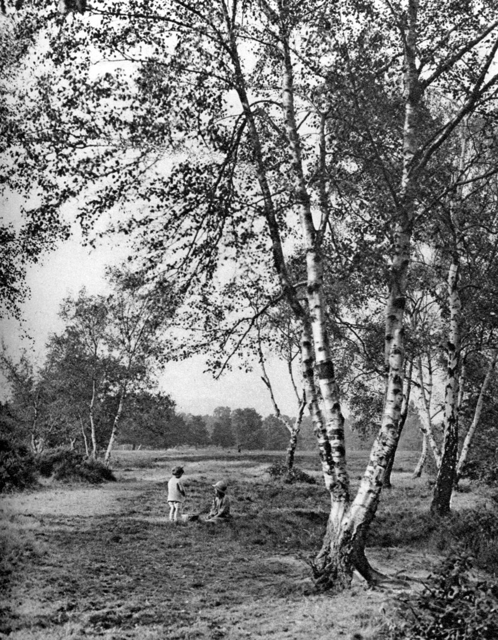 Putney Heath, London, 1926-1927 von McLeish