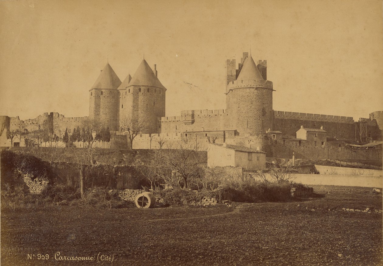 Carcassonne von Mederic Mieusement