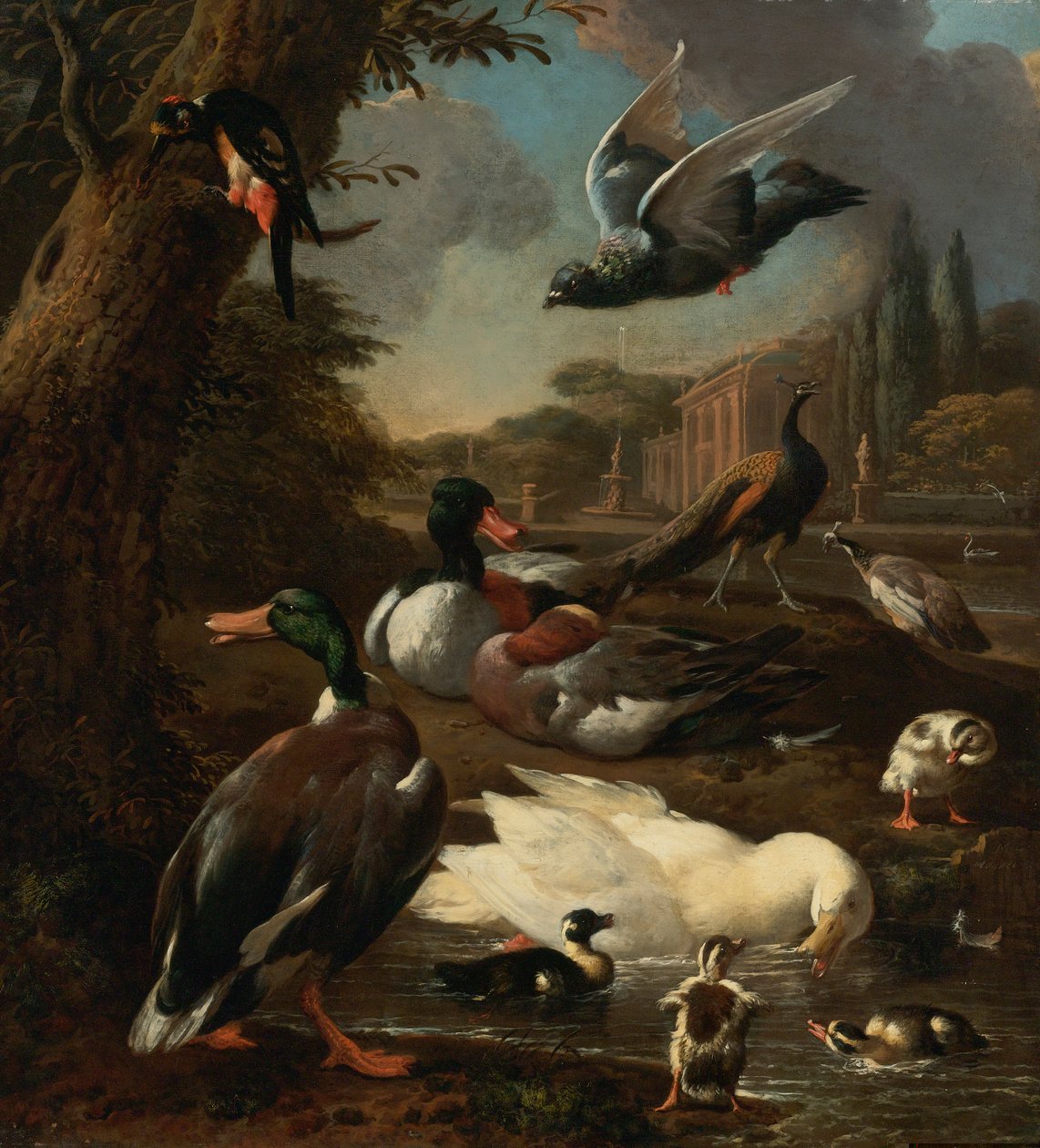 Ein Pfau, eine Taube, Enten und andere Vögel in einem Garten von Melchior de Hondecoeter