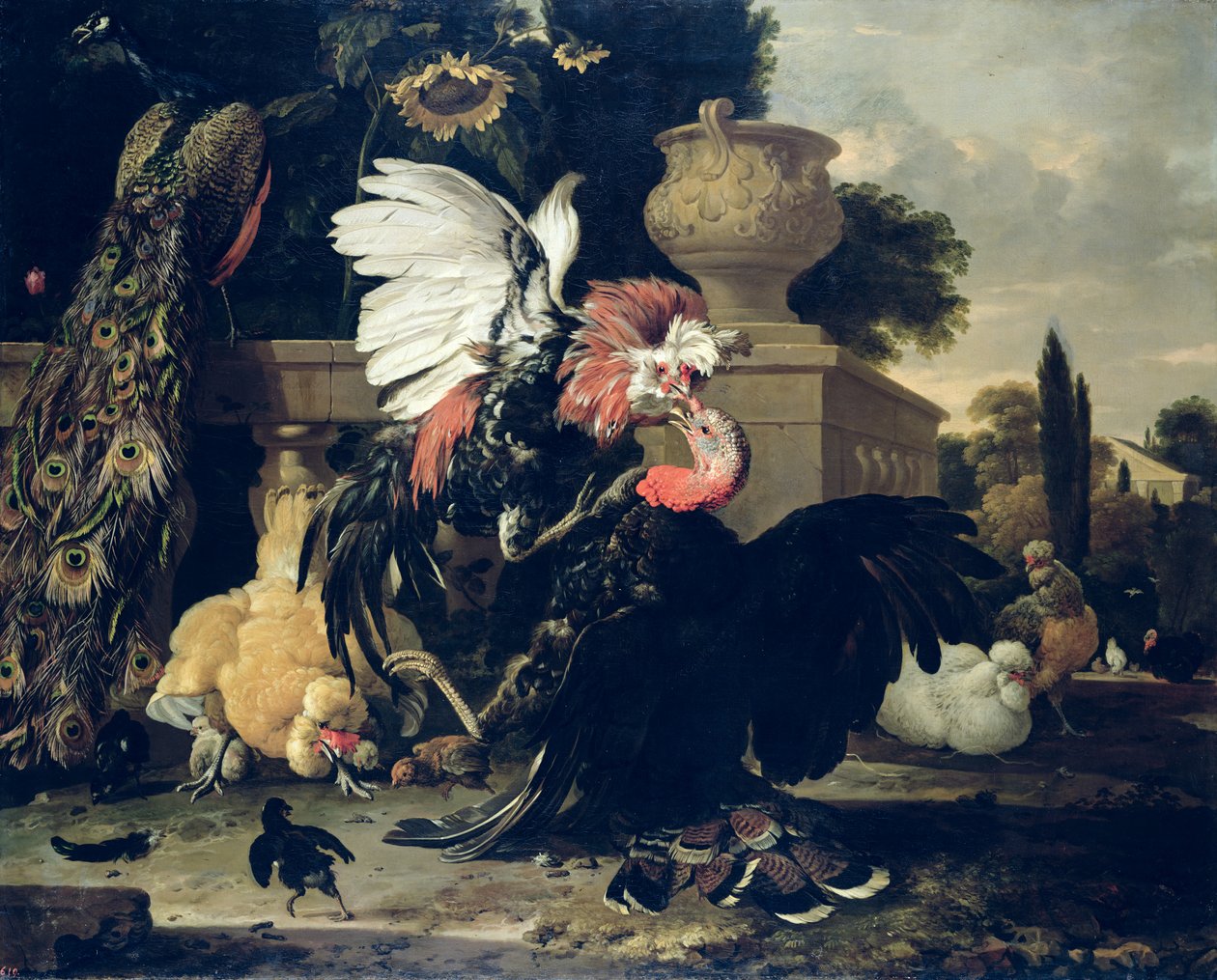 Kampf zwischen einem Hahn und einem Truthahn von Melchior de Hondecoeter