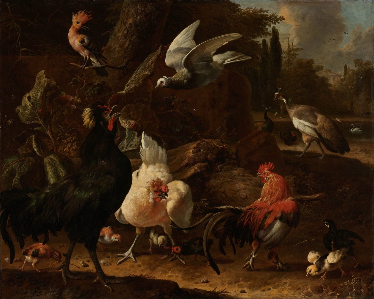 Vögel in einem Park von Melchior d
