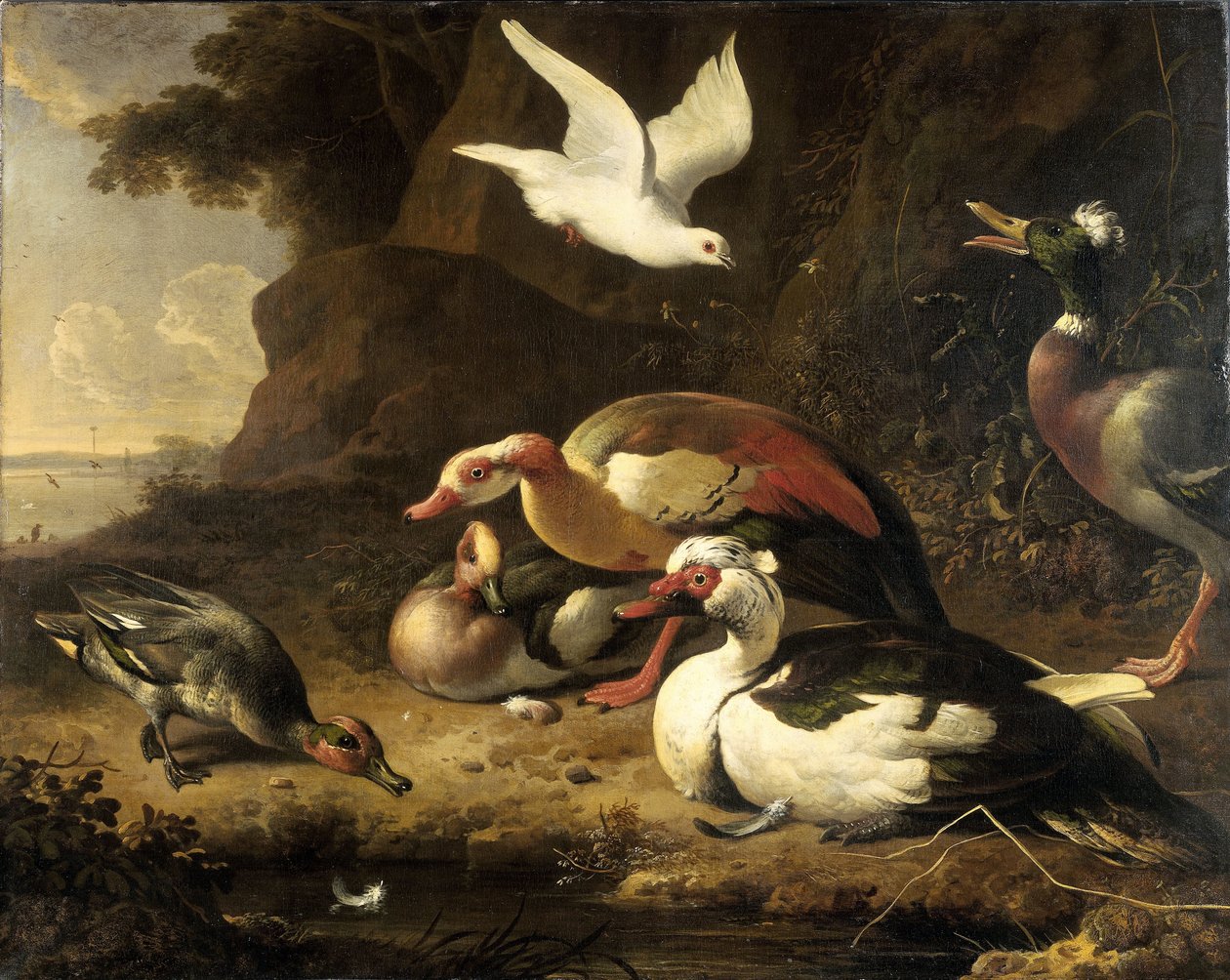 Enten von Melchior d