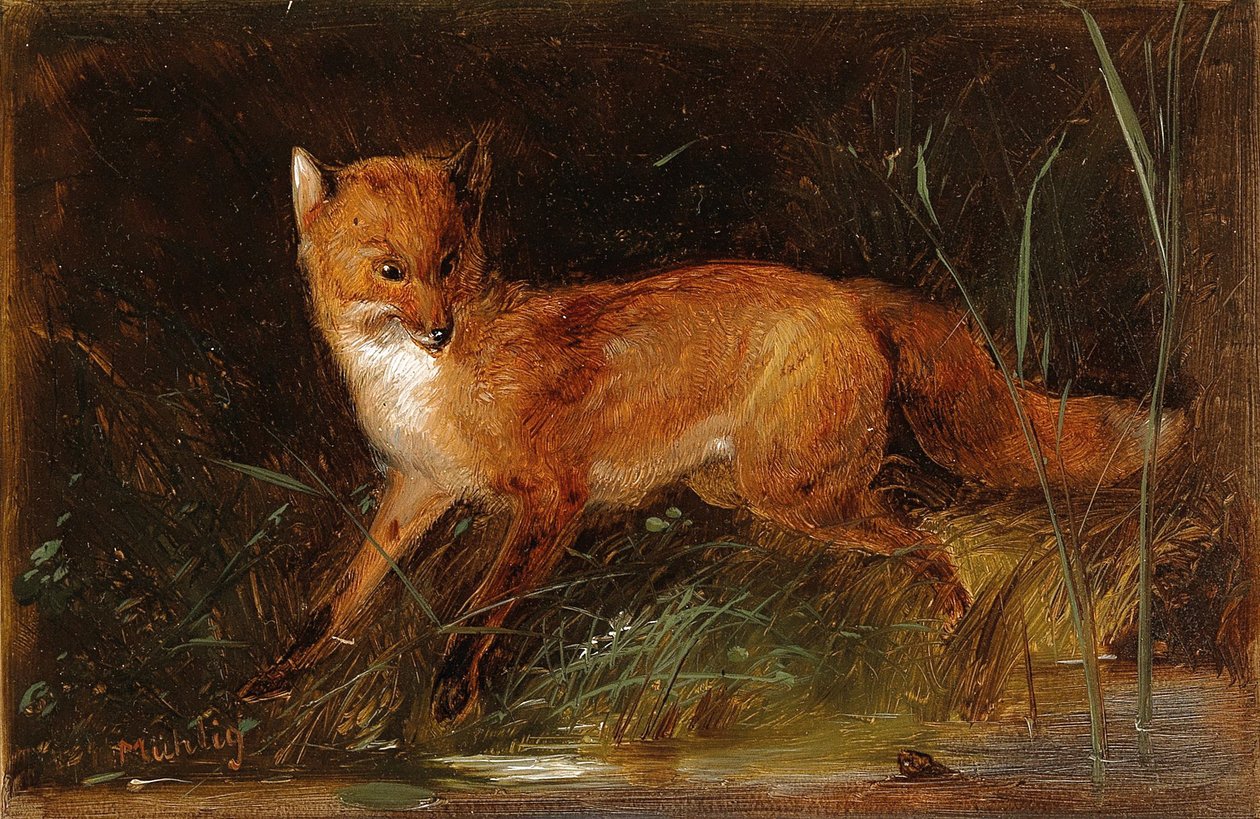 Meno Mühlig Fuchs von Meno Muhlig