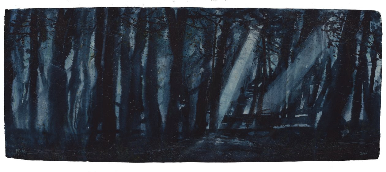 Mondbeschienene Wälder von Michael Frith