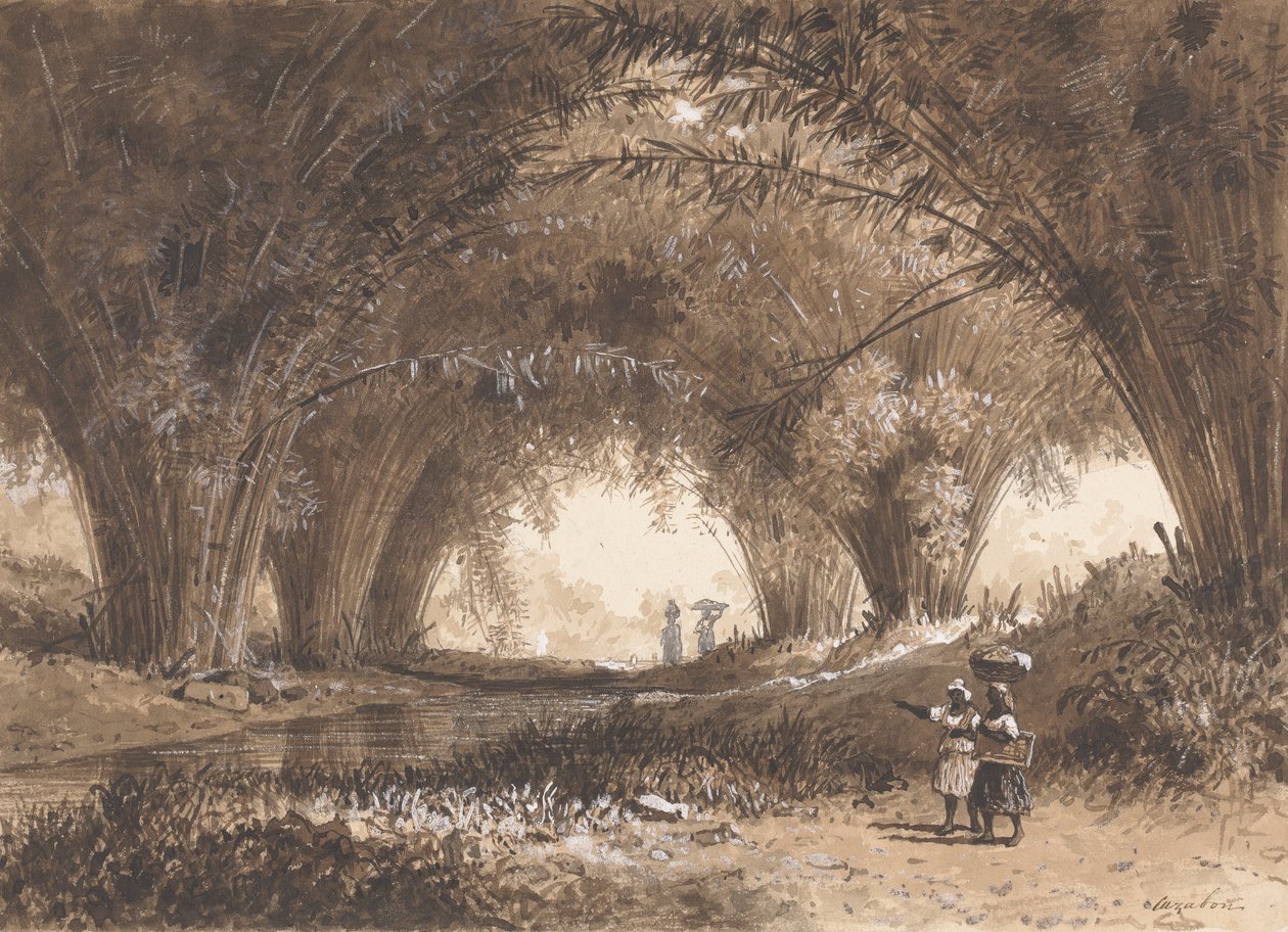 Bambusbögen, St. Anns von Michel Jean Cazabon