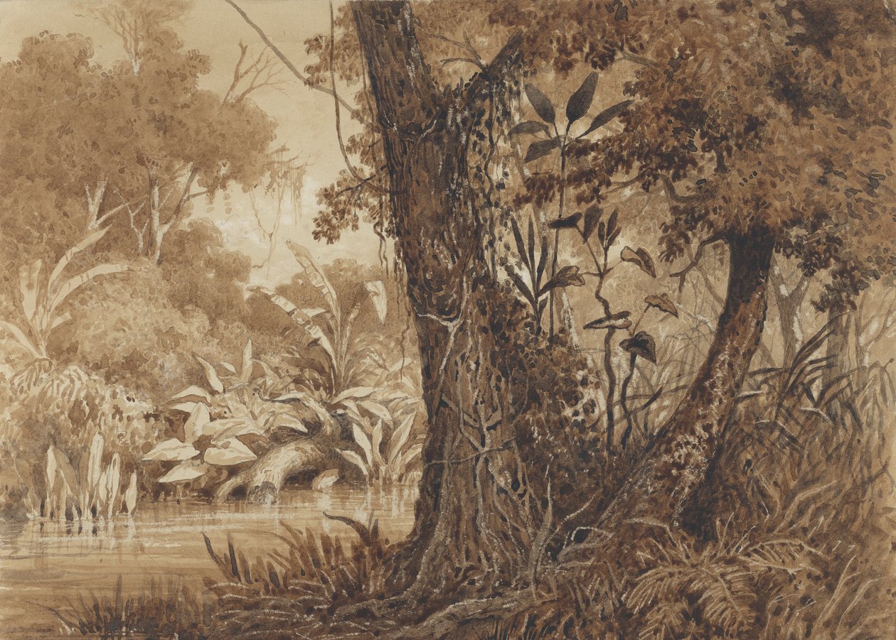 Am Cimaronero-Fluss von Michel Jean Cazabon