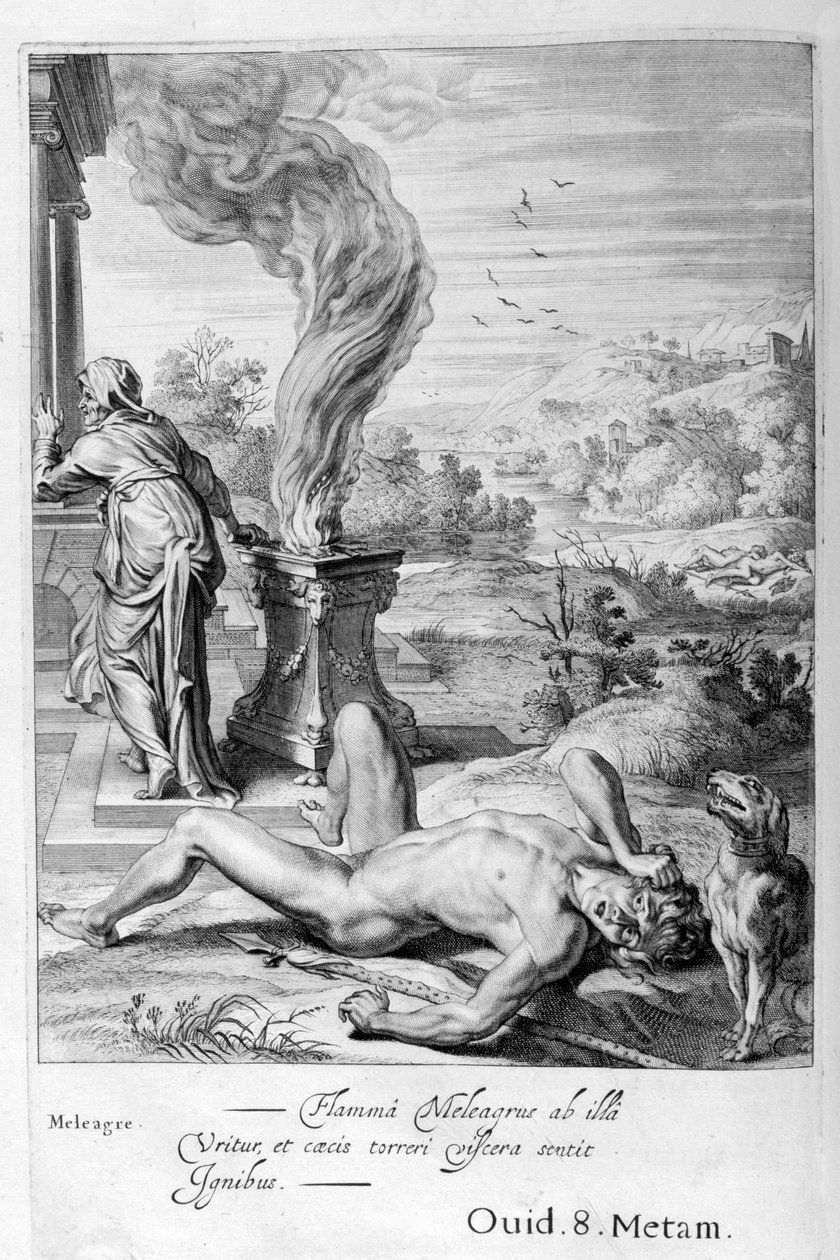 Meleager von Michel de Marolles
