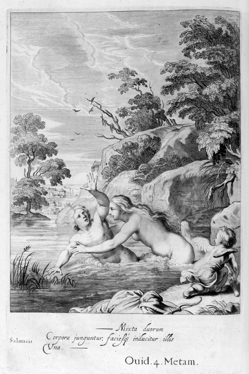 Die Nymphe Salmacis und Hermaphroditus von Michel de Marolles