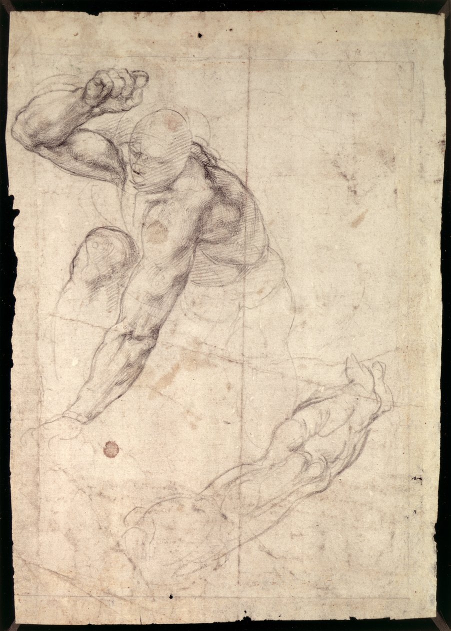 Studie einer männlichen Figur von Michelangelo Buonarroti