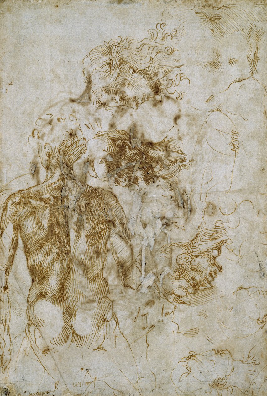 Studien eines männlichen Aktes von Michelangelo Buonarroti