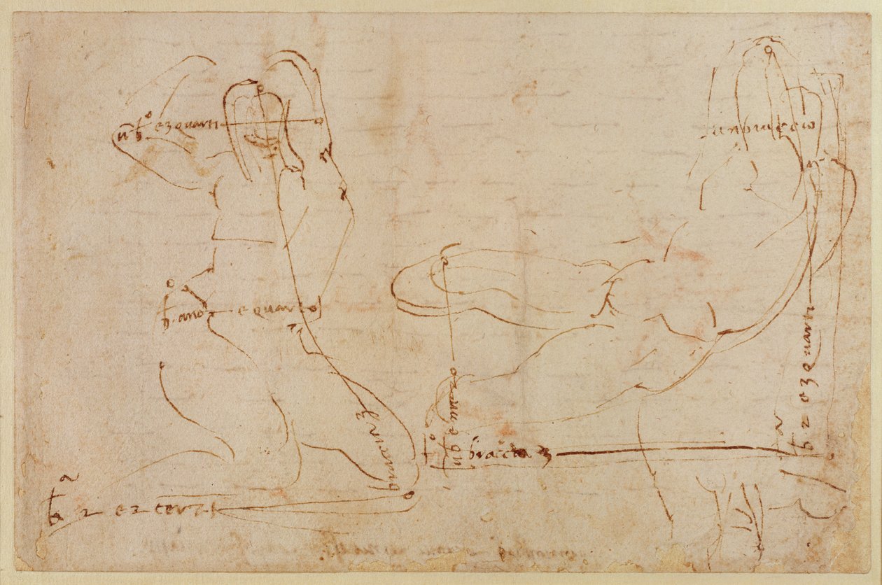 Studie für Flussgott von Michelangelo Buonarroti