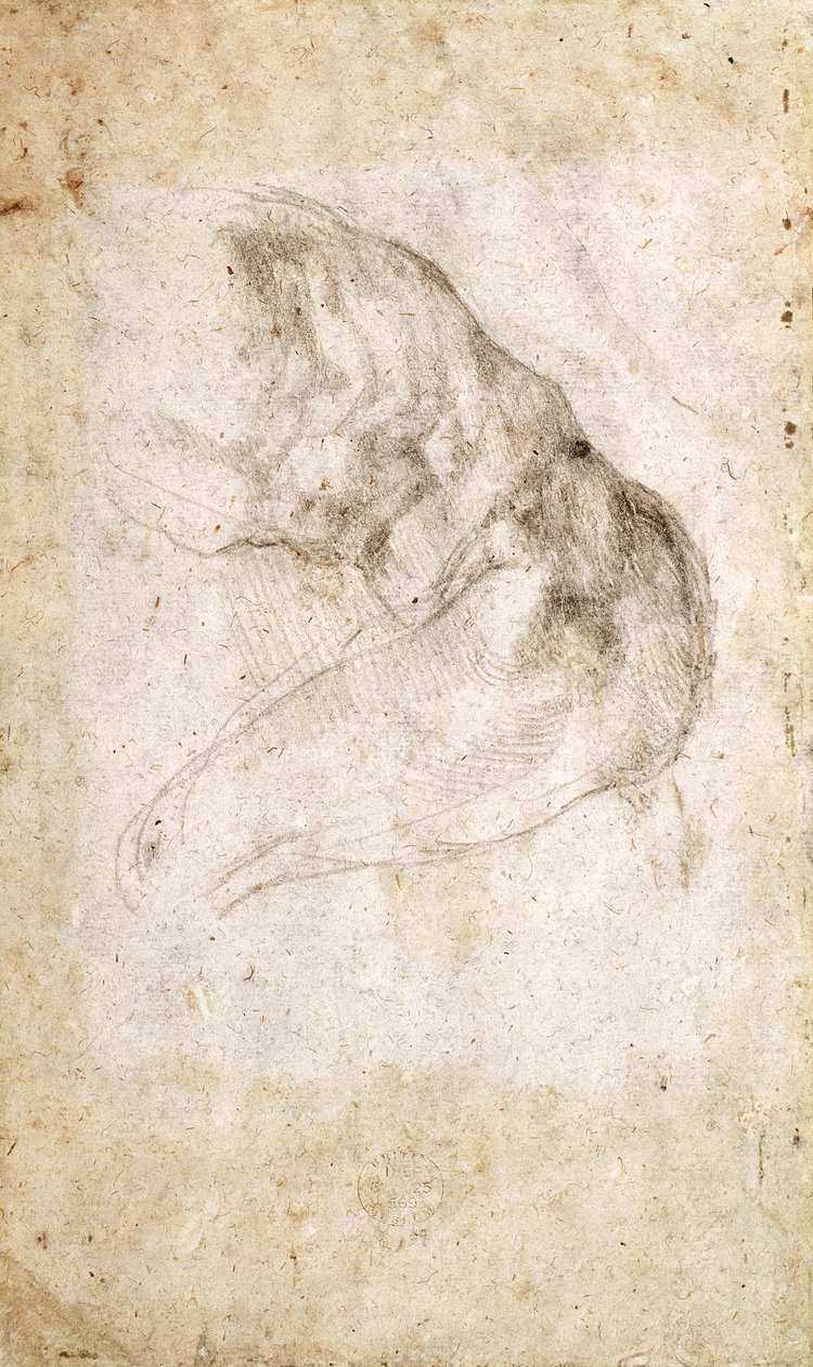 Studie für Die Erschaffung Adams (verso) von Michelangelo Buonarroti