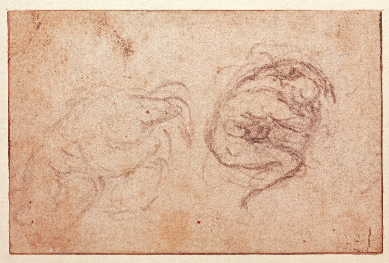 Studie einer kauernden Figur von Michelangelo Buonarroti