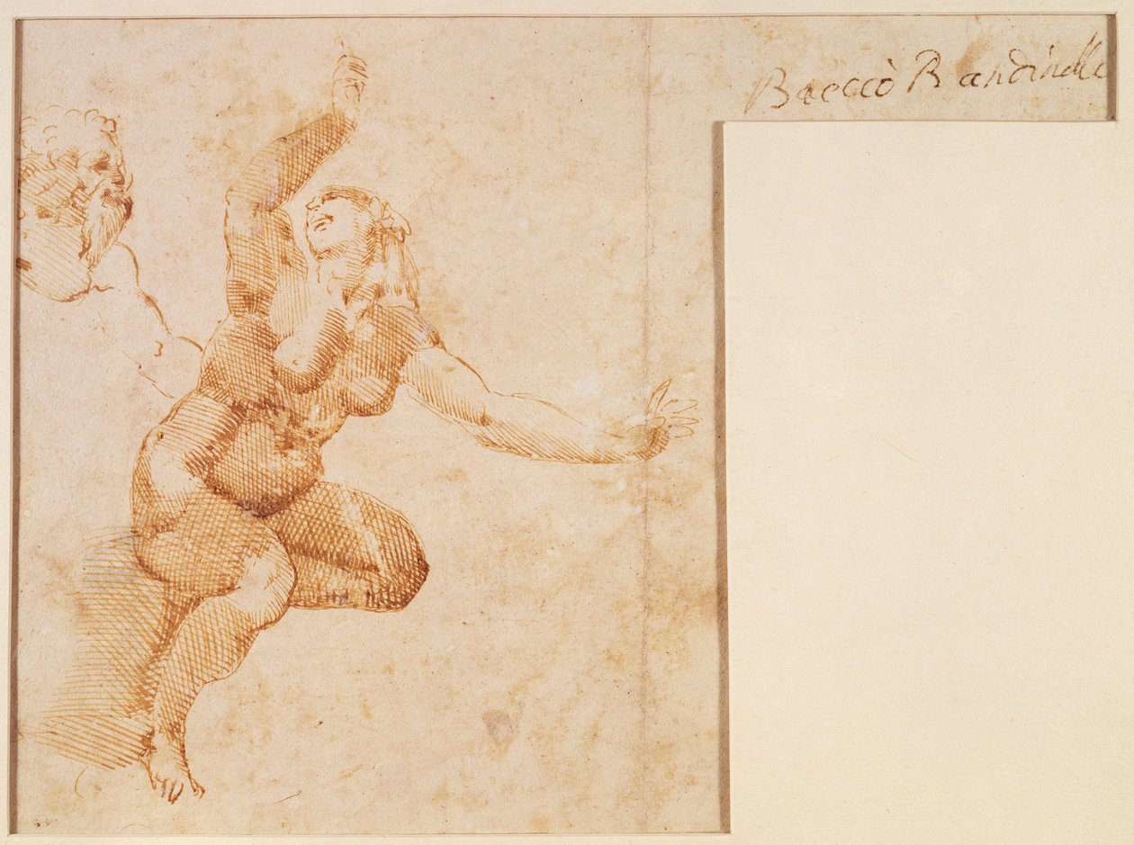 Studie eines weiblichen Aktes von Michelangelo Buonarroti