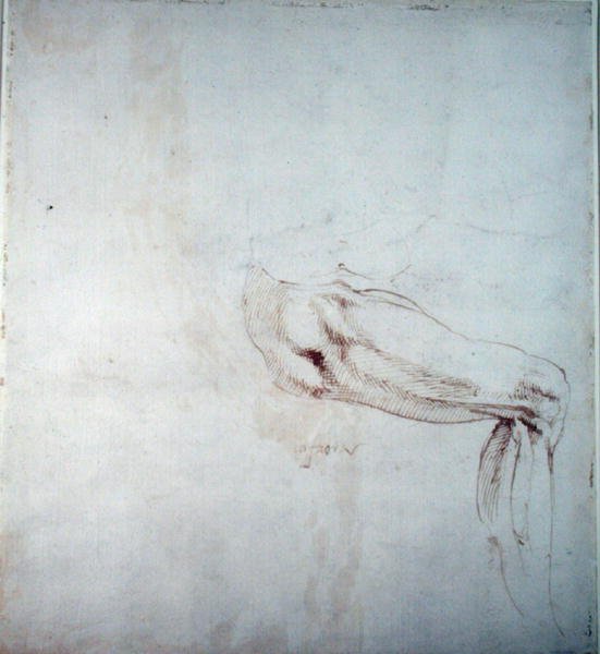 Studie eines Beins mit Notizen (braune Tinte auf Papier) (recto) von Michelangelo Buonarroti