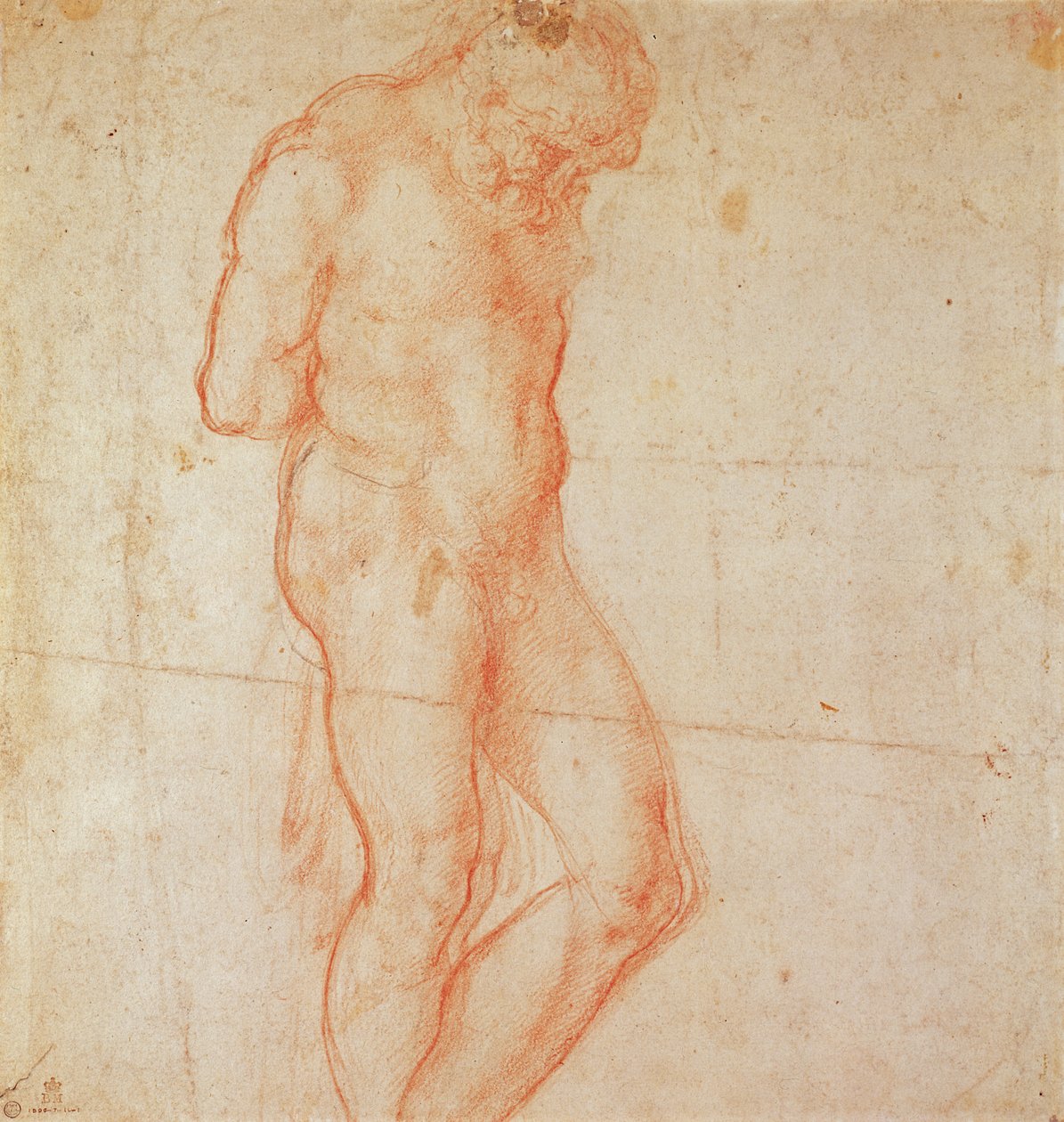 Studie eines Aktes von Michelangelo Buonarroti