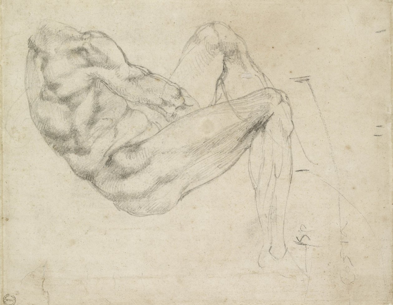 Studie einer liegenden männlichen Figur, recto von Michelangelo Buonarroti