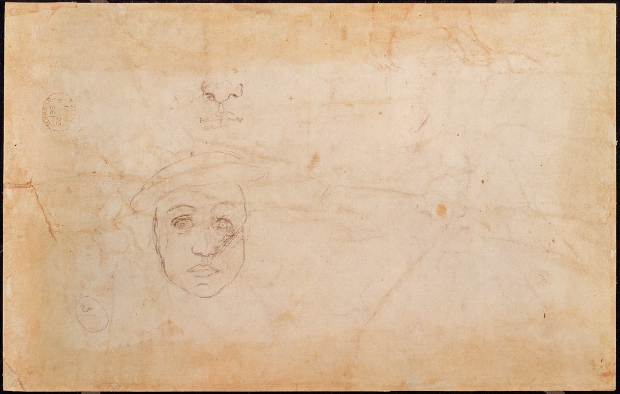 Studie eines männlichen Kopfes (verso) von Michelangelo Buonarroti