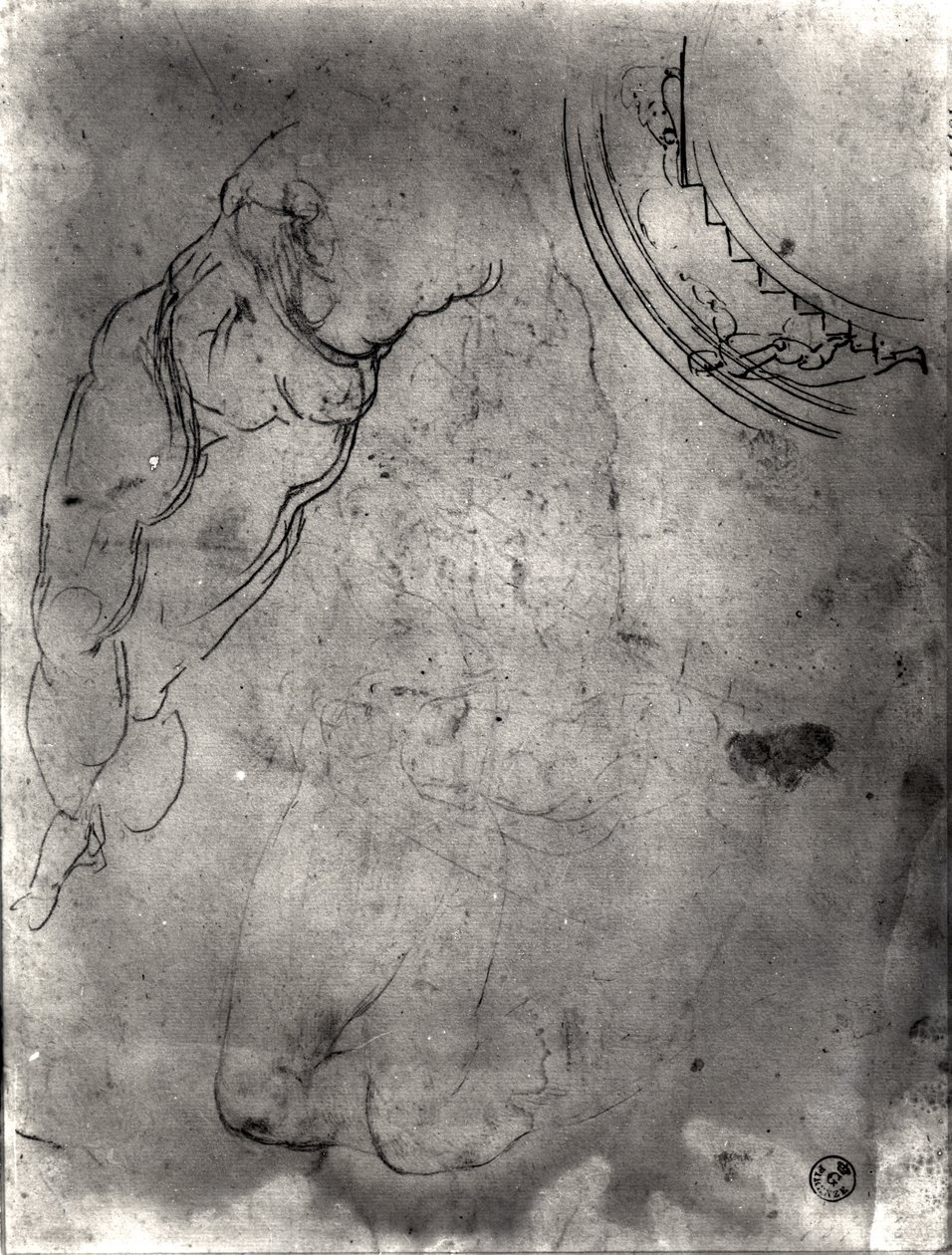 Studie eines männlichen Aktes von Michelangelo Buonarroti