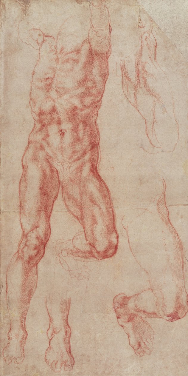 Studie eines männlichen Aktes, der sich nach oben streckt von Michelangelo Buonarroti