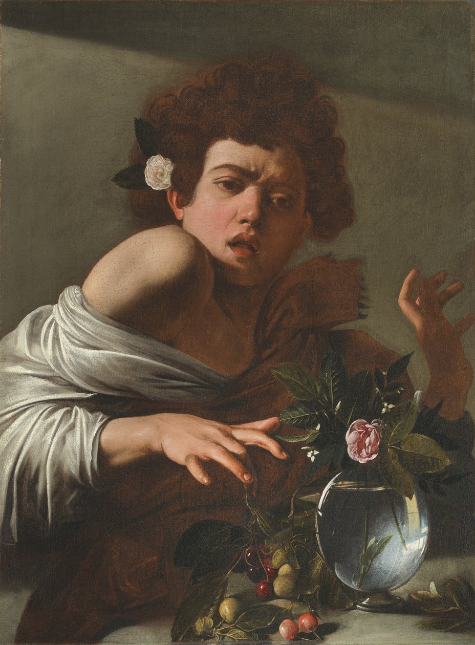 Junge, der von einer Eidechse gebissen wird, ca. 1595-1600 von Michelangelo Merisi Caravaggio
