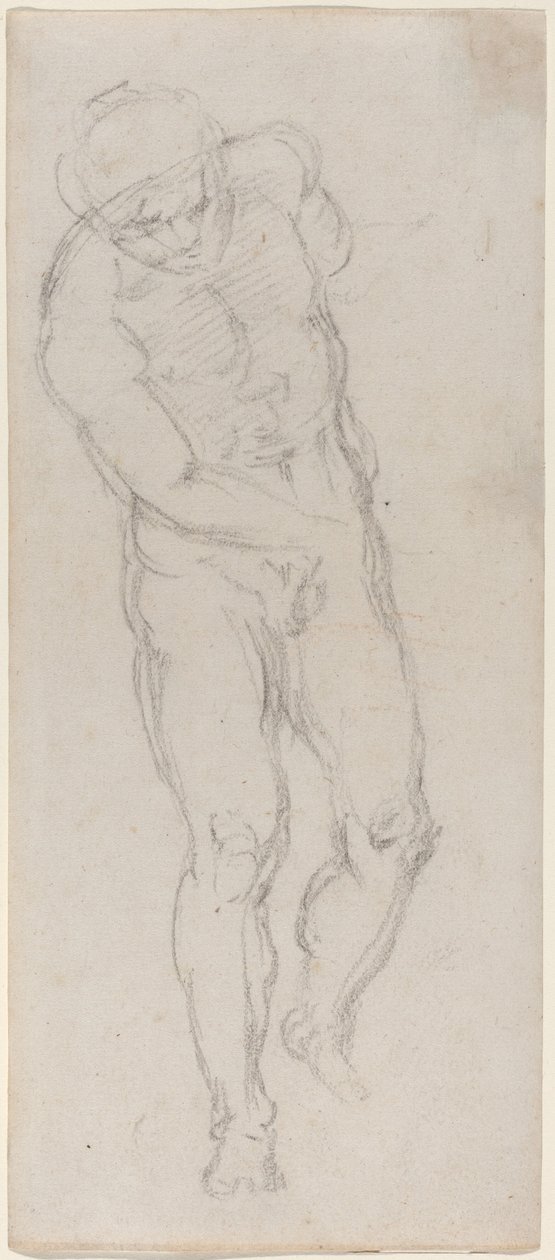 Männlicher Akt [recto] von Michelangelo