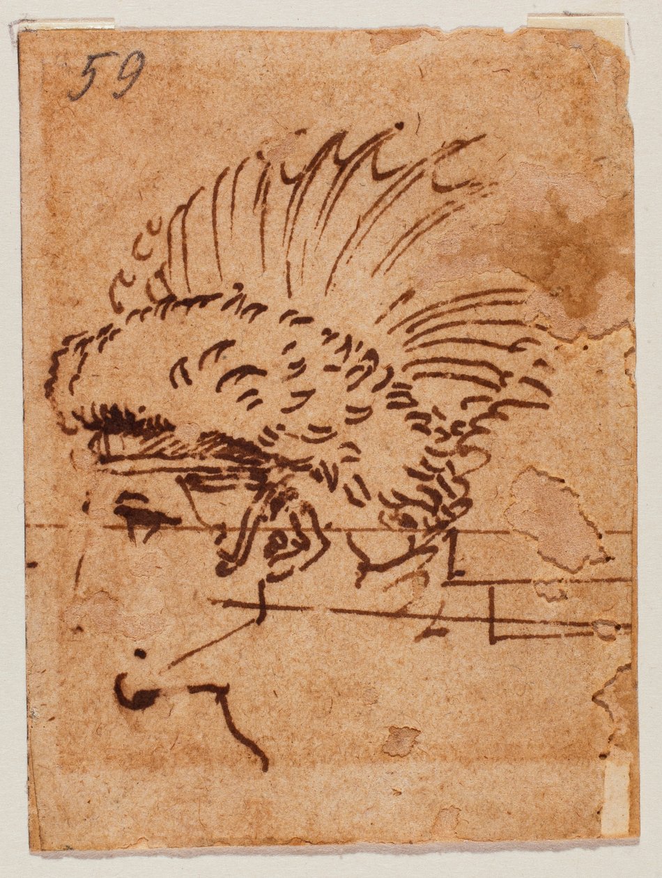 Kammkopf von Michelangelo Buonarroti