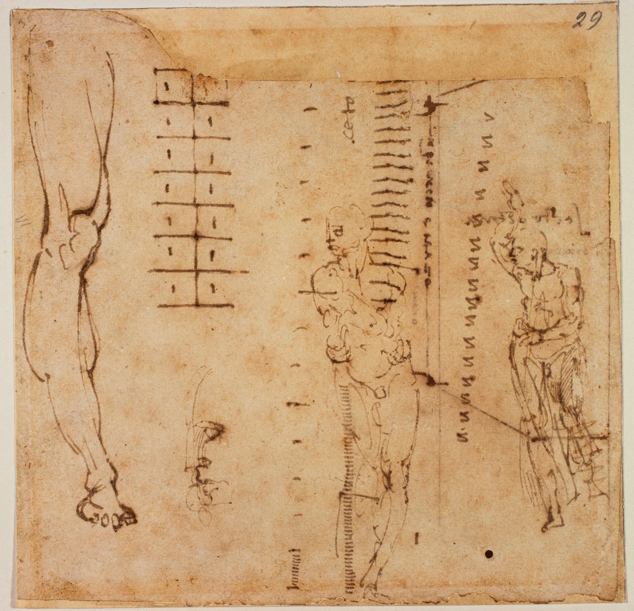 Figurenstudien von Michelangelo Buonarroti