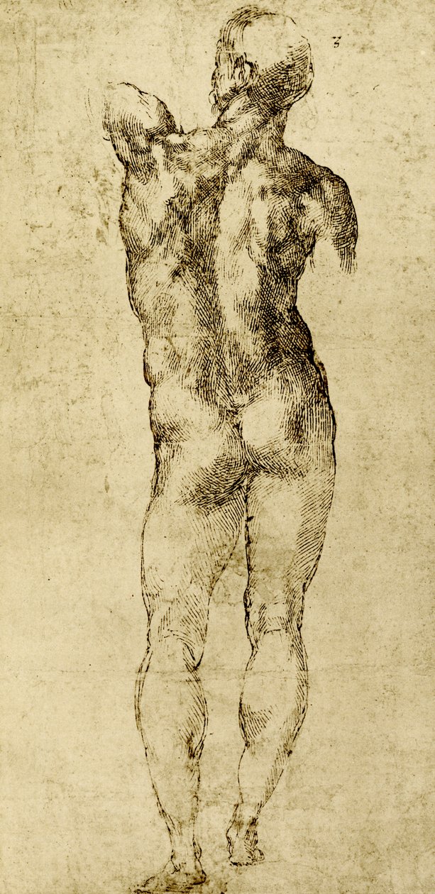 Männlicher Akt von Michelangelo Buonarroti