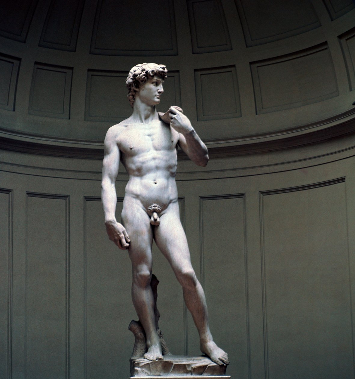 Michelangelos David, 16. Jahrhundert von Michelangelo Buonarroti