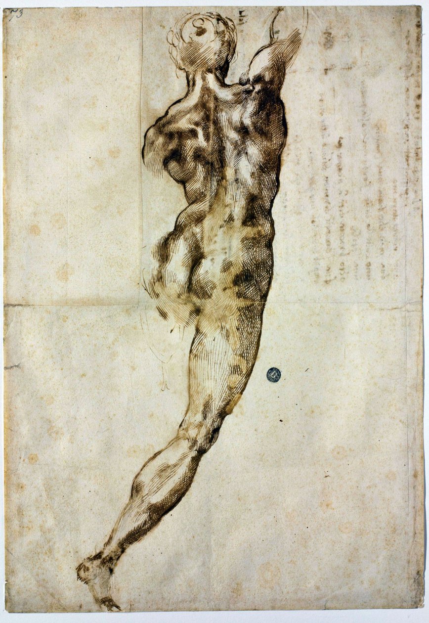 Akt von hinten, ca. 1504 von Michelangelo Buonarroti