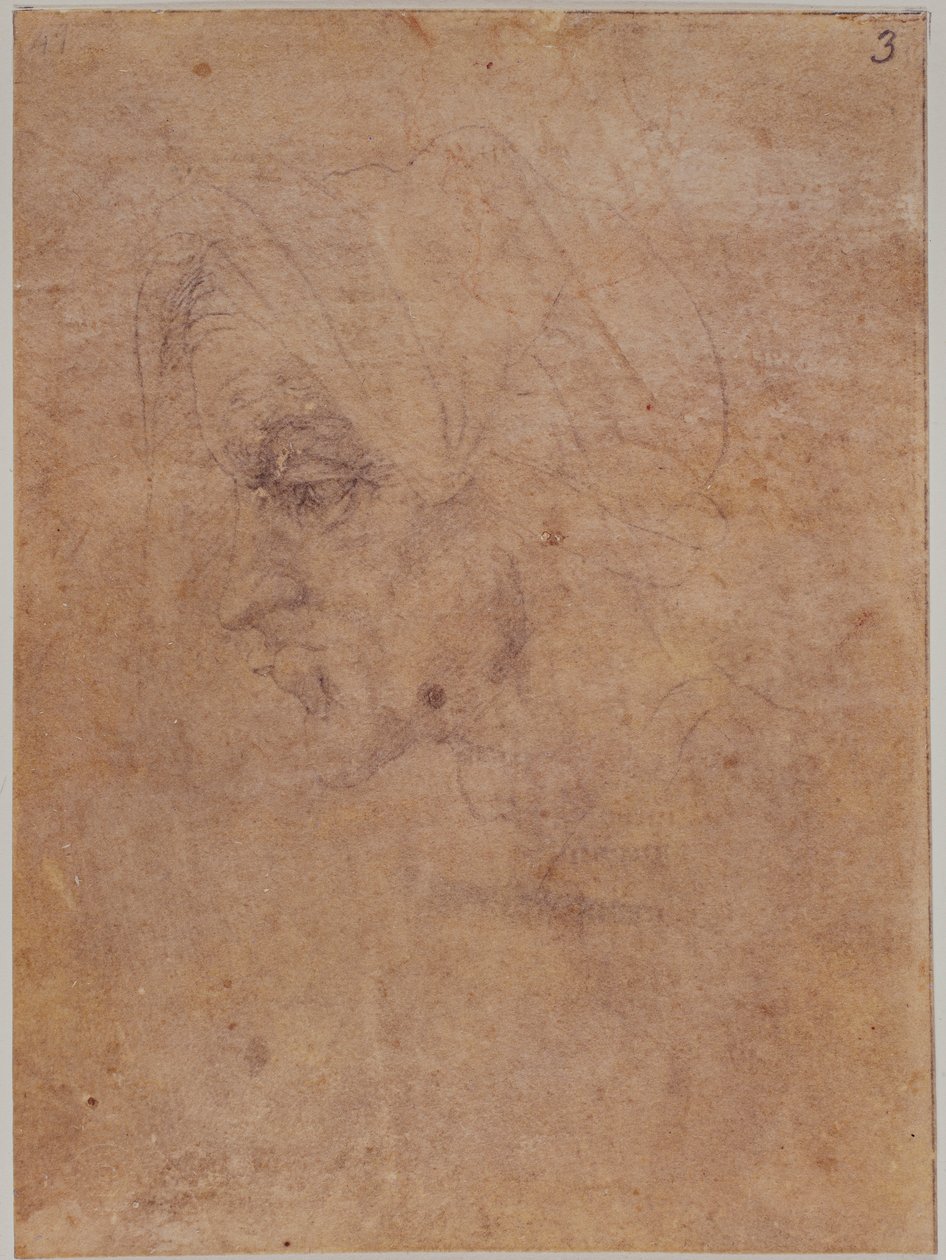 Profil einer alten Frau von Michelangelo Buonarroti