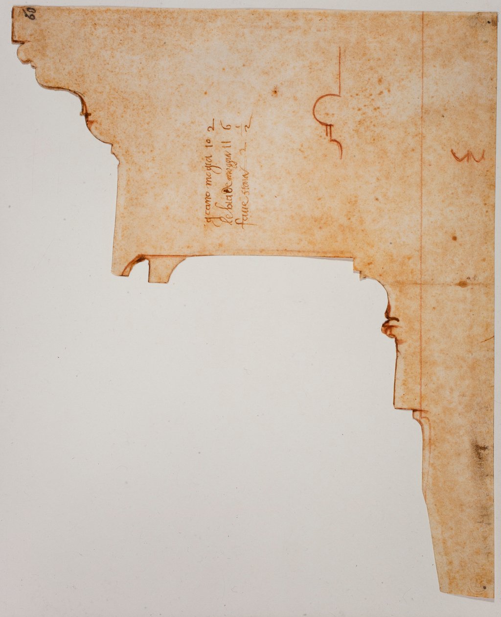 Profil eines Gebälks von Michelangelo Buonarroti