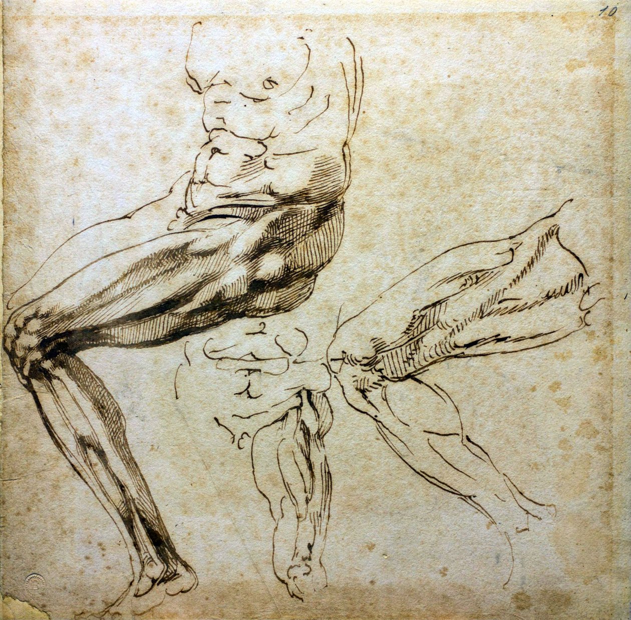 Studien von Beinen, 1524-1525 von Michelangelo Buonarroti