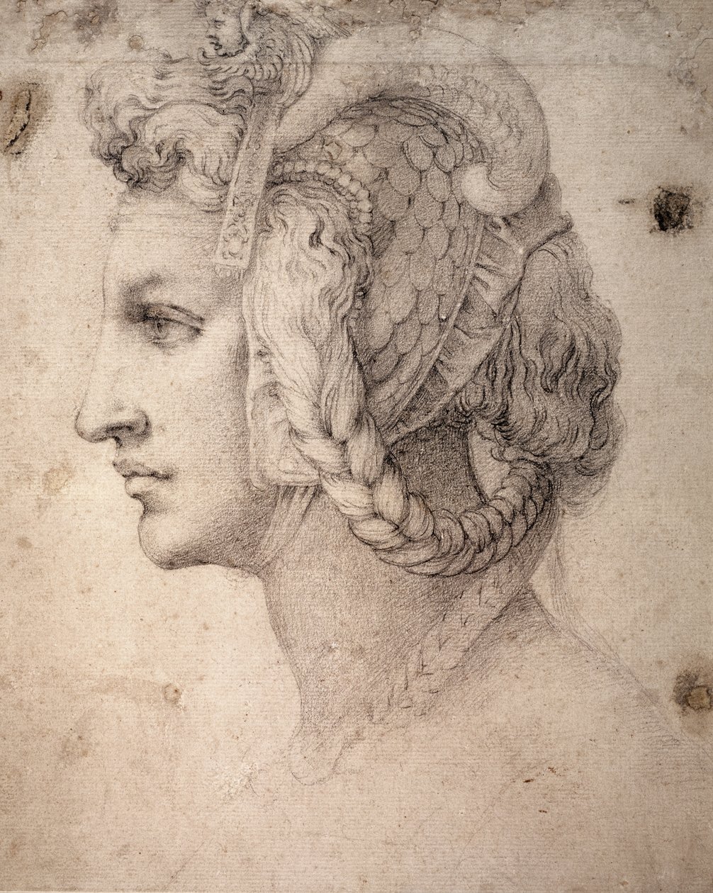 Studie eines Kopfes von Michelangelo Buonarroti