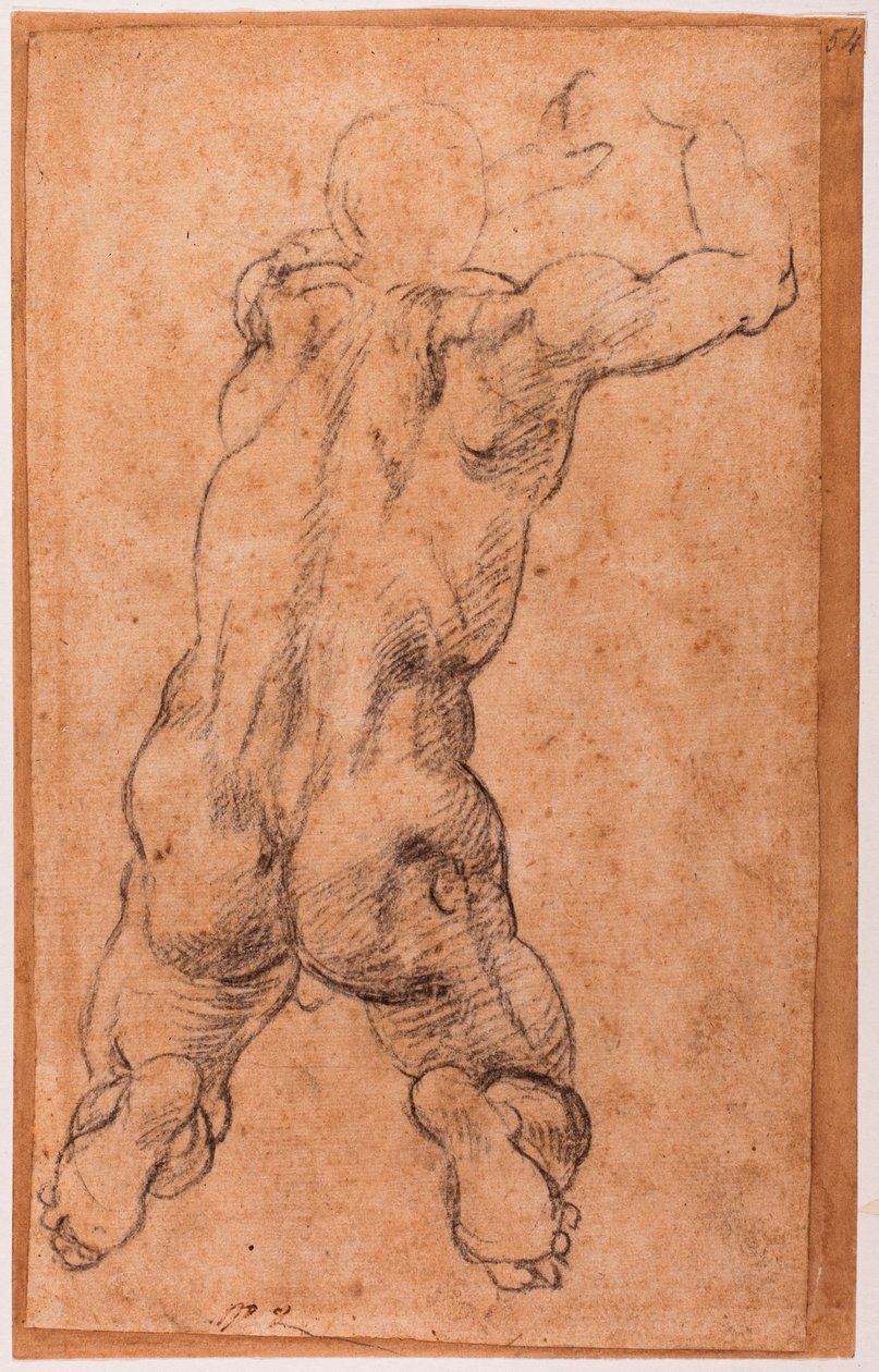 Studie eines knienden männlichen Aktes von Michelangelo Buonarroti