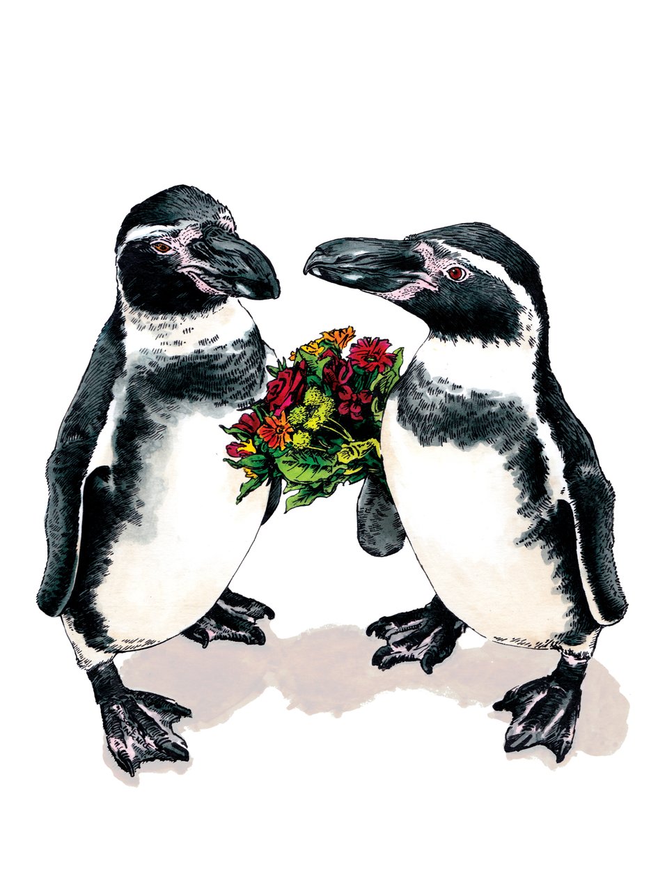 Jubiläumspinguine auf Weiß, 2020 von Mike Davis