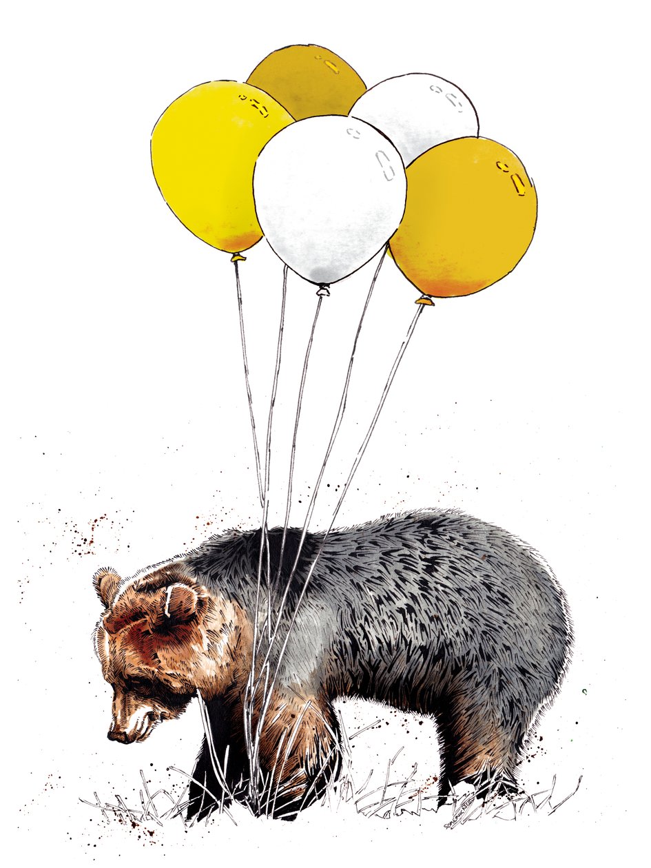 Geburtstags-Bär auf Weiß, 2020 von Mike Davis