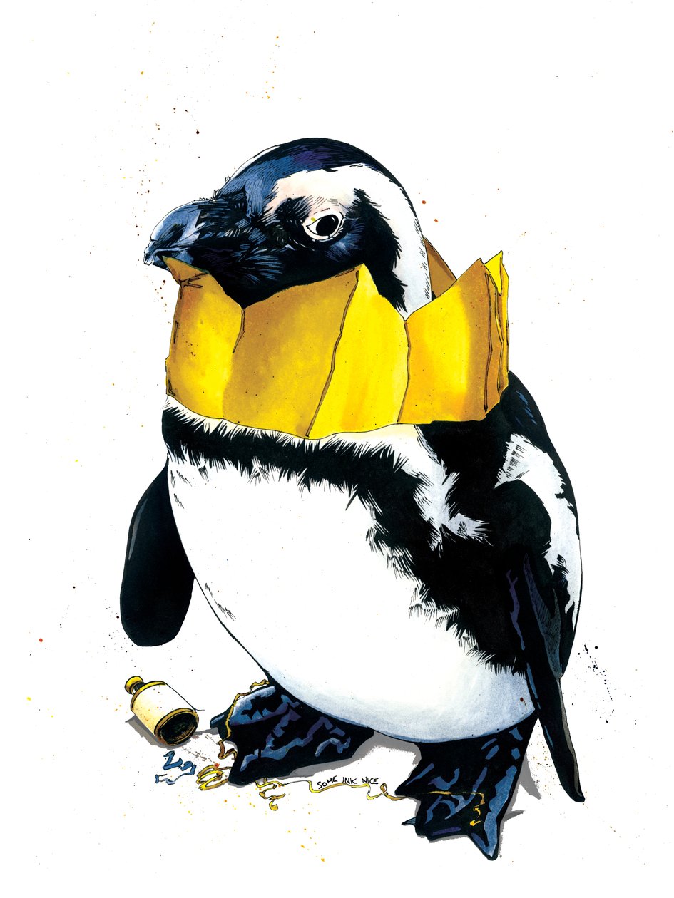 Weihnachtspinguin auf Weiß, 2020 von Mike Davis
