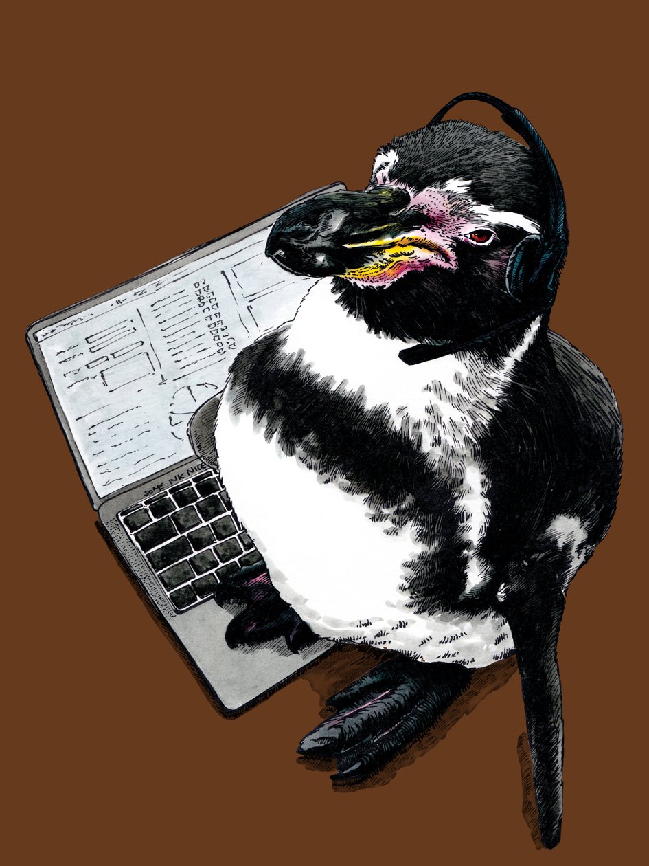 Neuer Job Pinguin auf Gebranntem Orange, 2020 von Mike Davis