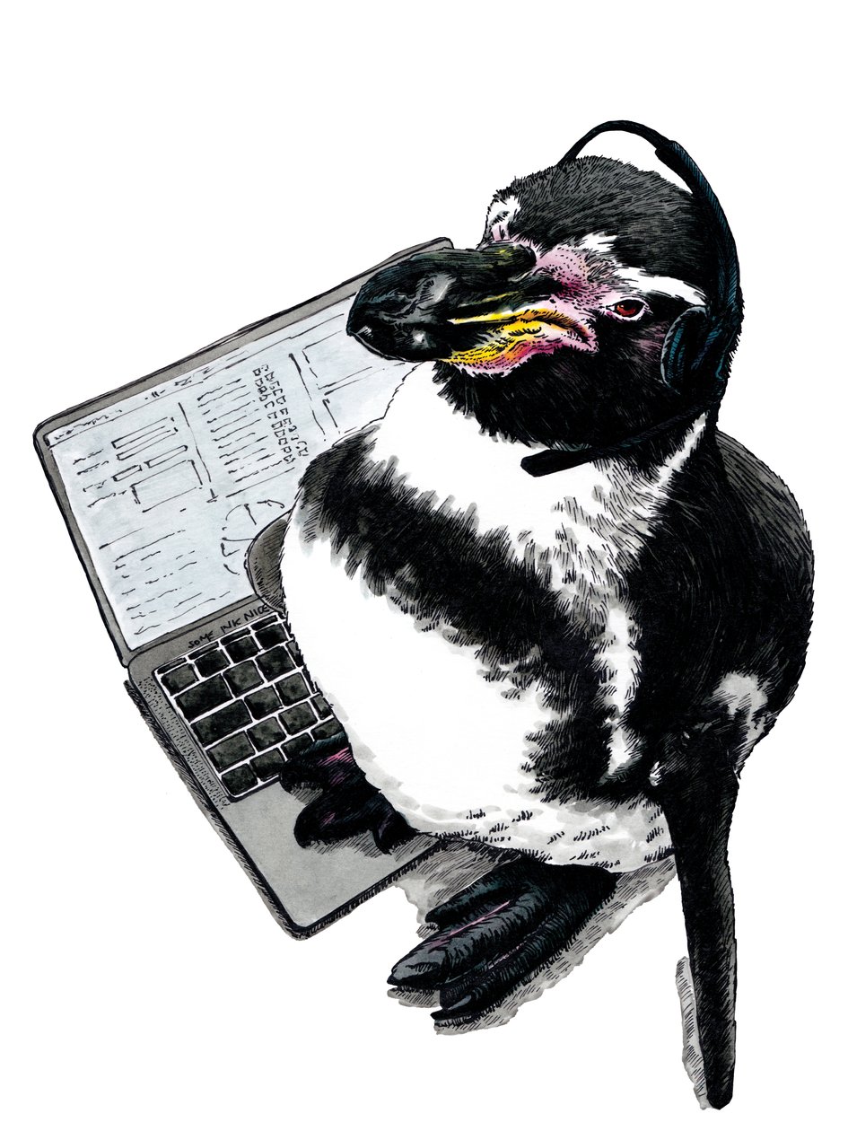 Neuer Job Pinguin auf Weiß, 2020 von Mike Davis