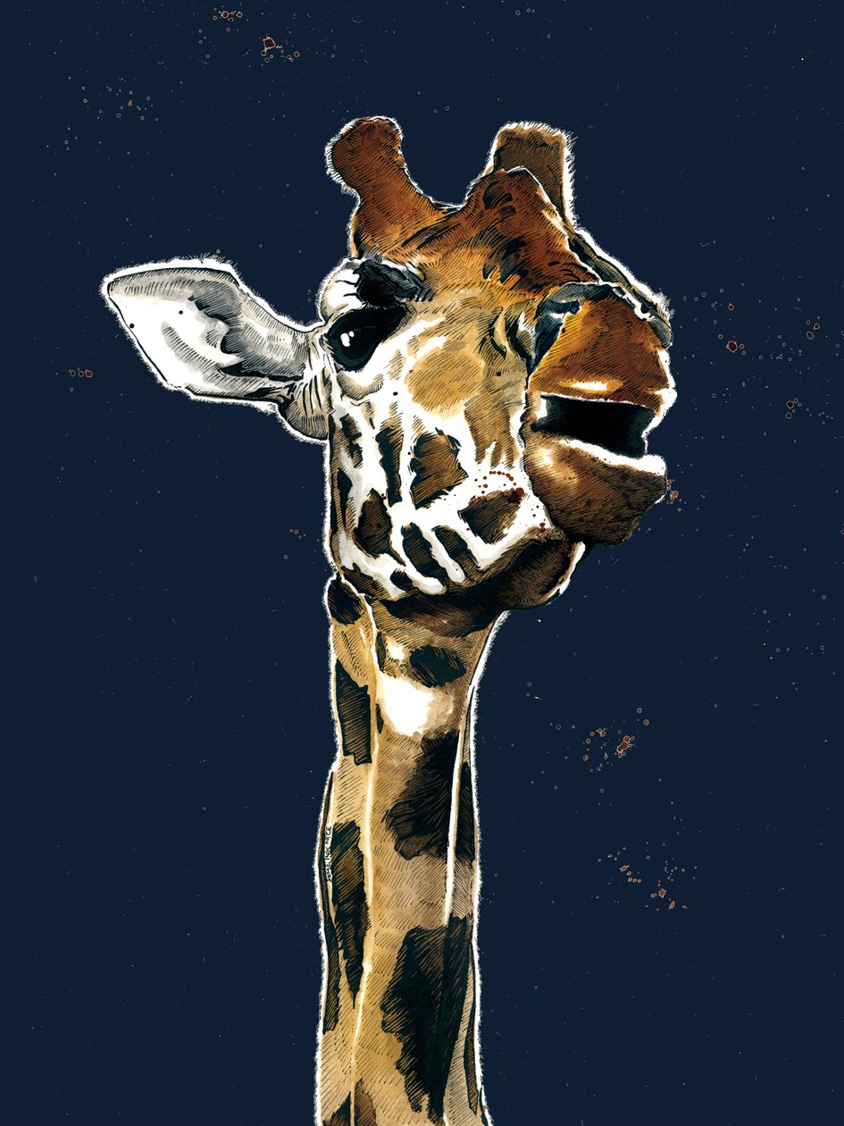 Die Giraffe auf Mitternachtsblau von Mike Davis