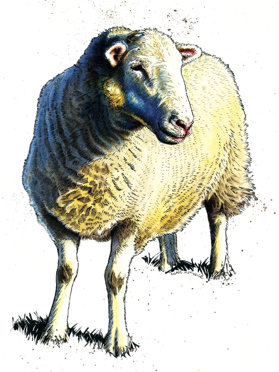 Das Schaf auf Weiß, 2020 von Mike Davis
