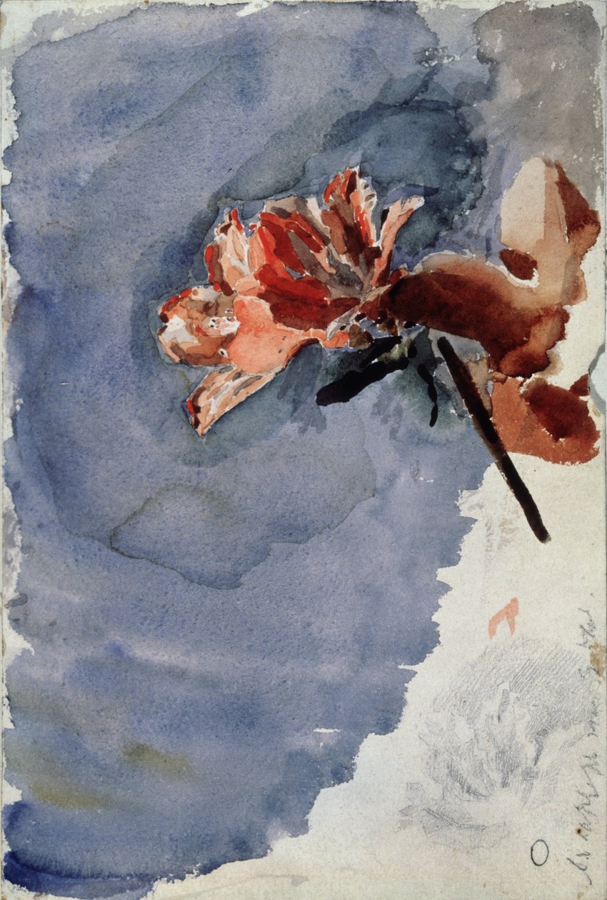 Rote Azalee, 1886-1887 von Mikhail Aleksandrovich Vrubel