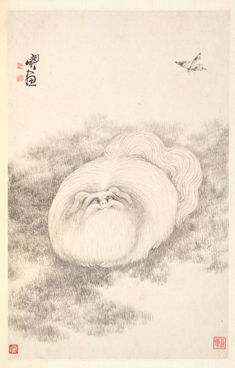 Katze und Schmetterling von Min Zhen