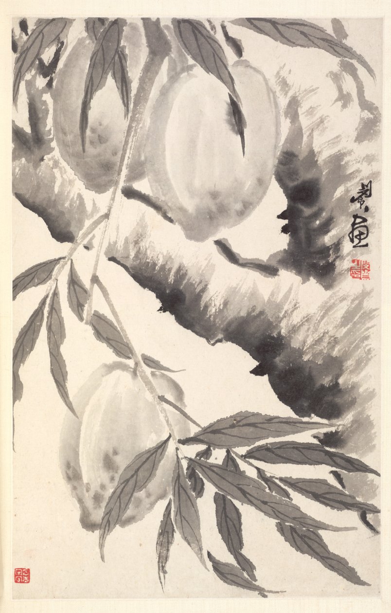 Pfirsiche, 1788 von Min Zhen