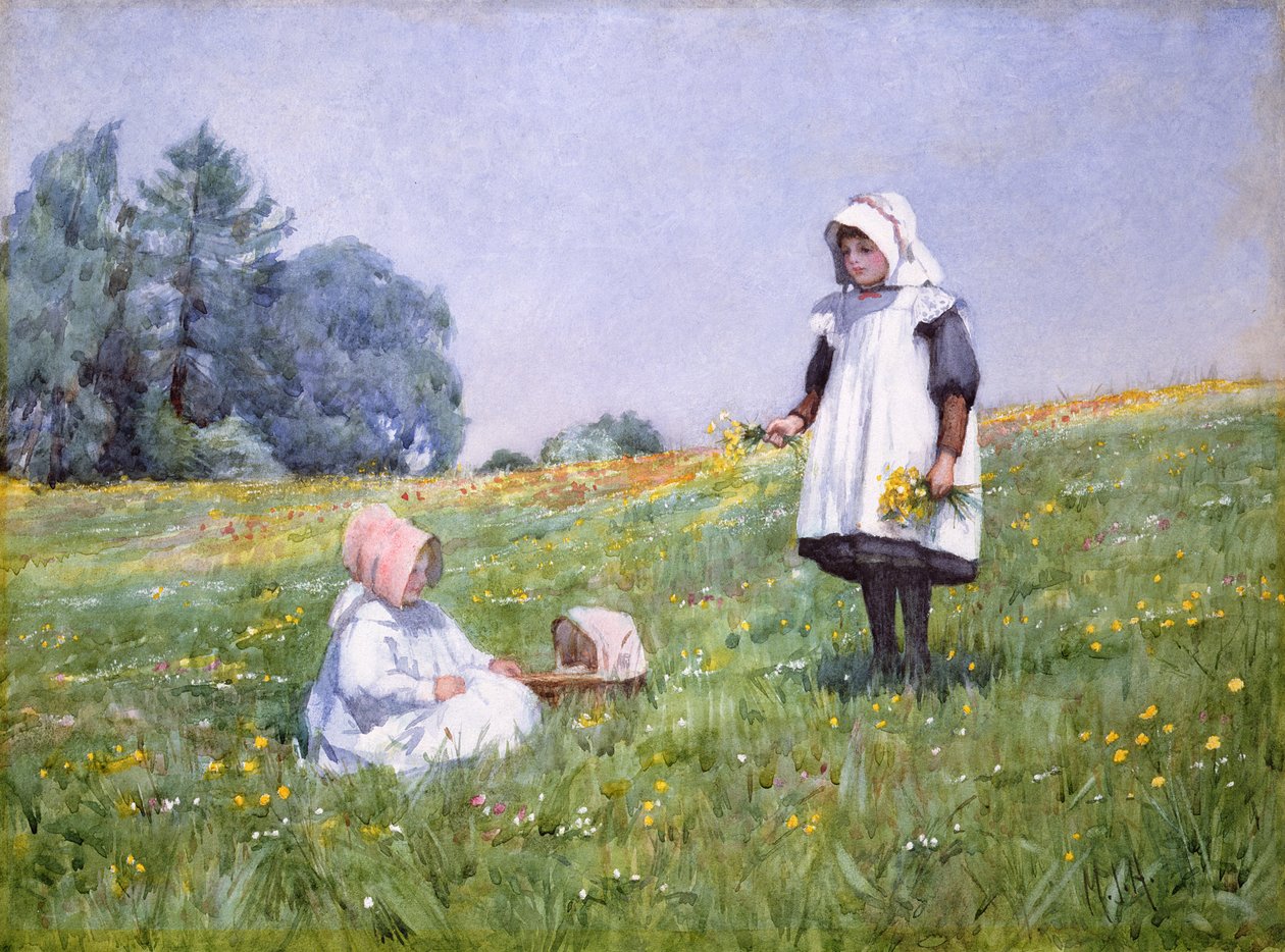 Butterblumen und Gänseblümchen von Minnie Jane Hardman