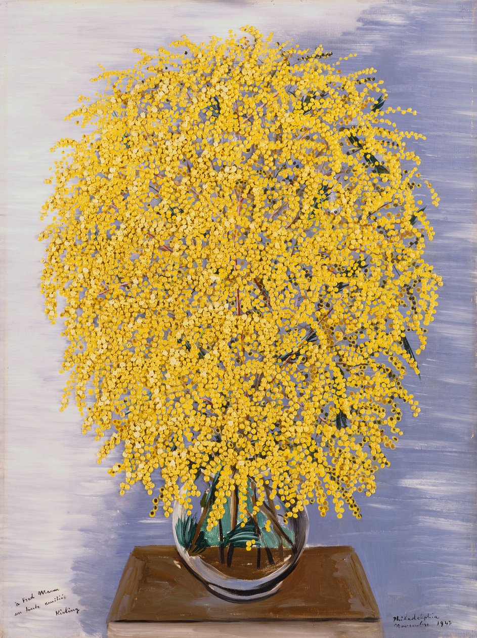 Mimosen von Moise Kisling