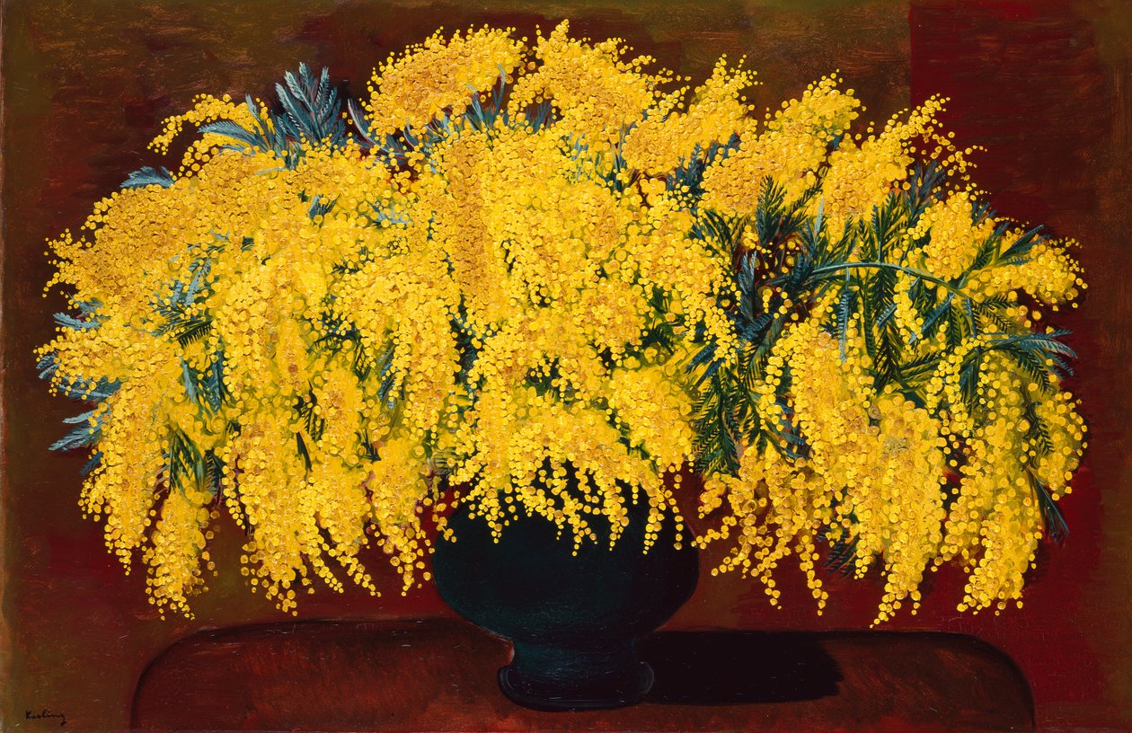 Mimosen von Moise Kisling