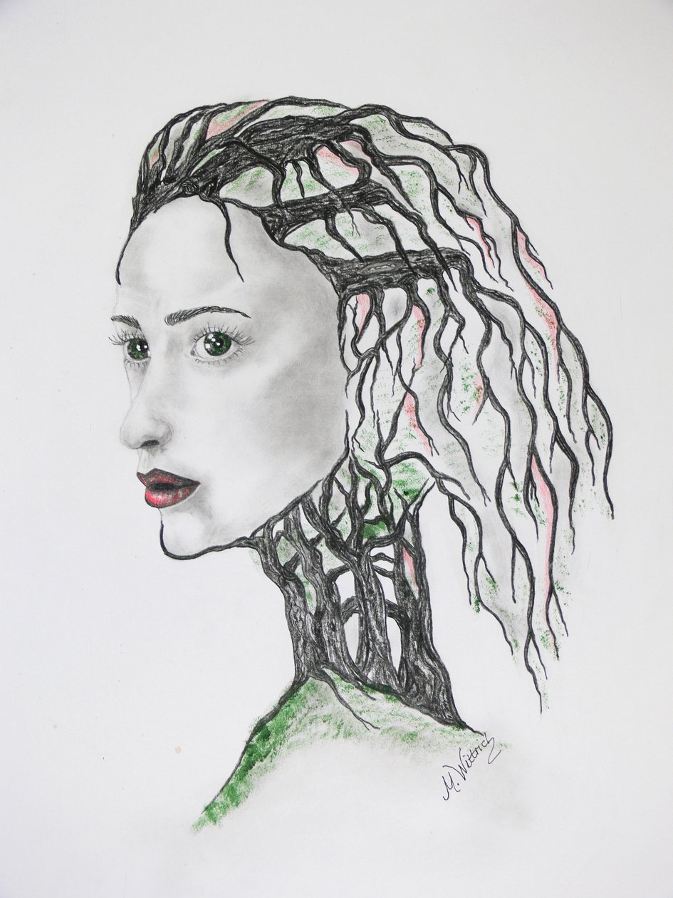 Baumsterben von Monika Wittrich